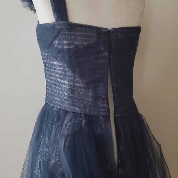 BCBGMaxAzria Silk Tulle Mini Dress - Picture 9 of 16